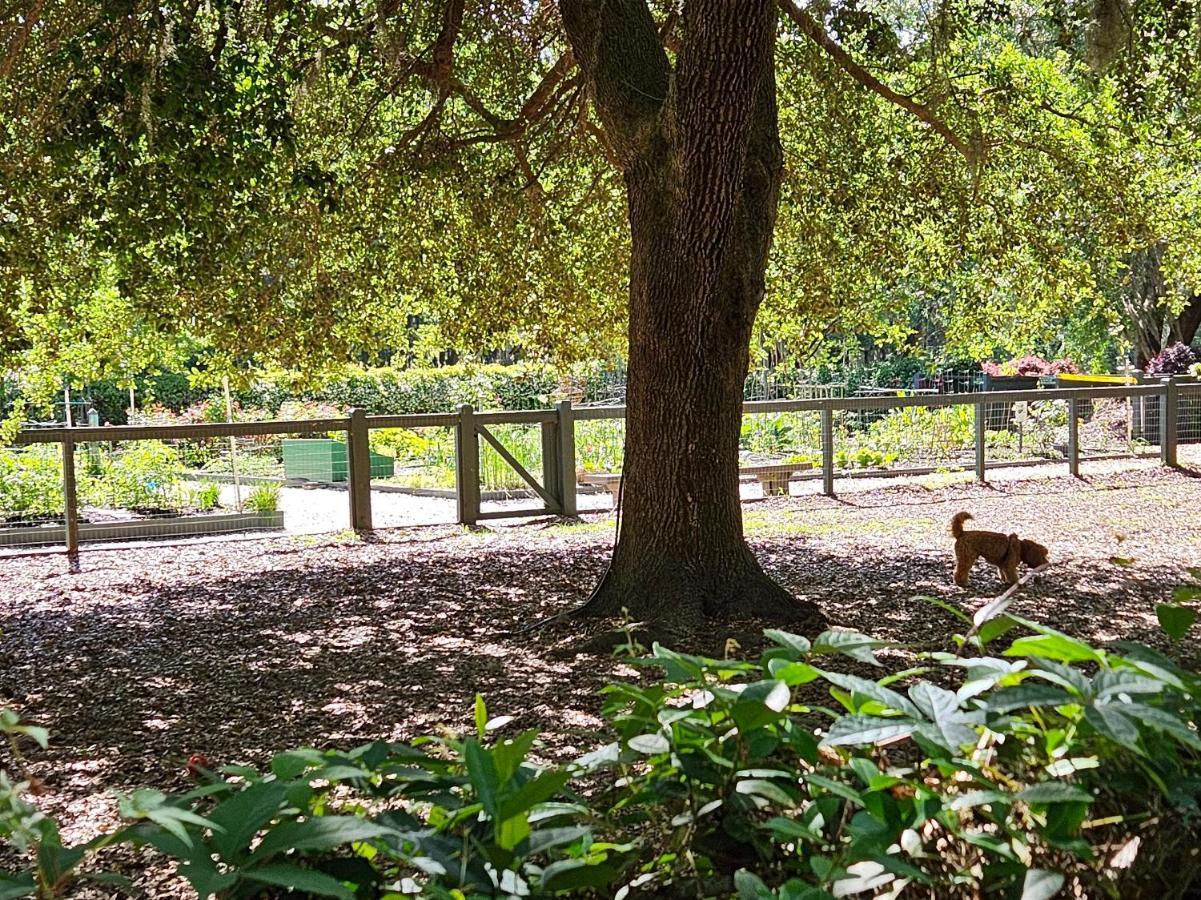 Low Country Cottage In Beautiful Habersham Beaufort Eksteriør bilde