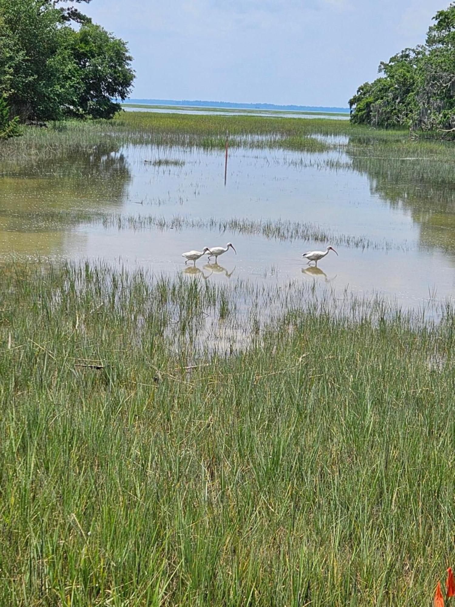 Low Country Cottage In Beautiful Habersham Beaufort Eksteriør bilde