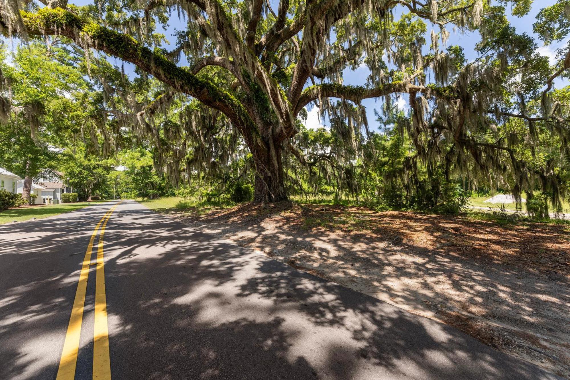 Low Country Cottage In Beautiful Habersham Beaufort Eksteriør bilde